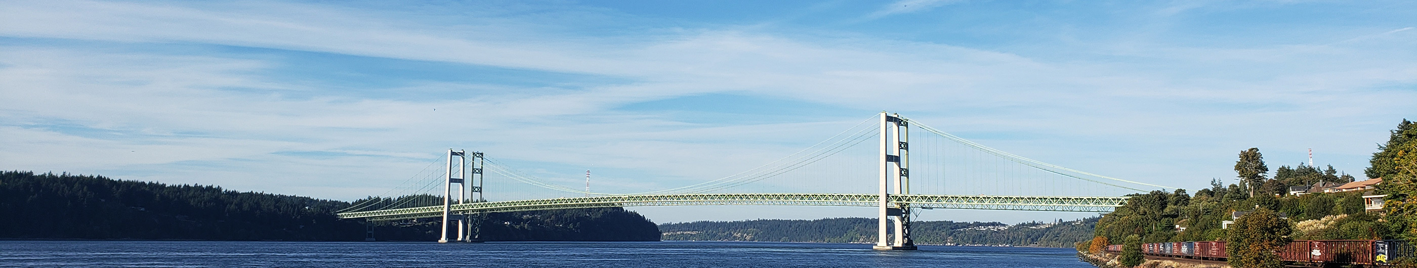 Narrows Bridge