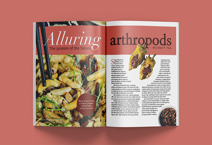 Aperitiv magazine spread